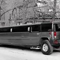 hammer.limo.2010.01 as bw