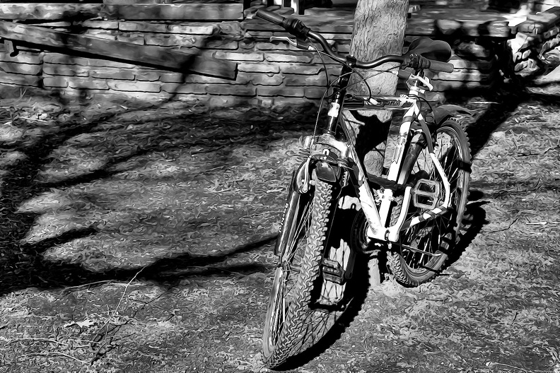 bicycle.2020.01_as_graphic_bw.jpg