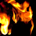 flames 2009.10_as.jpg