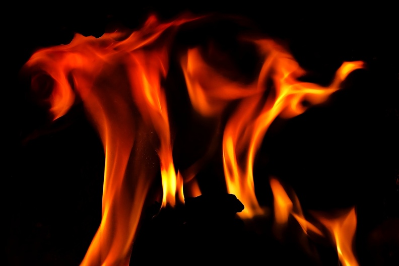 flames 2009.13_as.jpg
