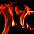 flames 2009.13_as.jpg