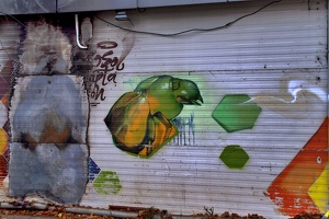 graffities insects 2020.812 as