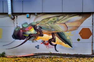 graffities bugs 2020.815 as