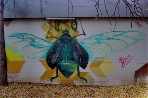 graffities bugs 2020.814 as
