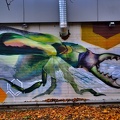 graffities bugs 2020.813 as