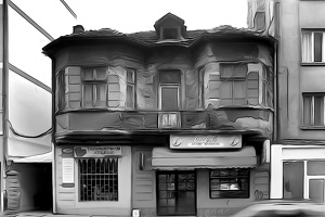 old.house.2008.01 as dream bw