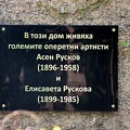 plaque Ruskov's 2018.01 as
