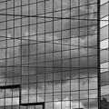 reflections 2021.01 as bw