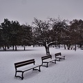 winter 2014.02_rt.jpg