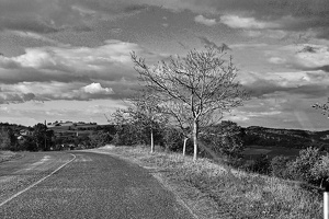 the.road 2006.001 rt bw