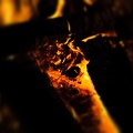 flames 2022.05_rt_blur.jpg
