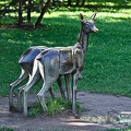 two.hinds 2022.02_rt.jpg