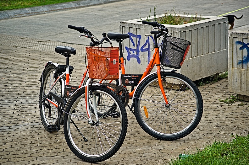 bicycles 2022.02_rt.jpg