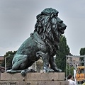 lion's bridge 2022.06 rt