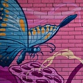 graffities 2022.1405_rt.jpg