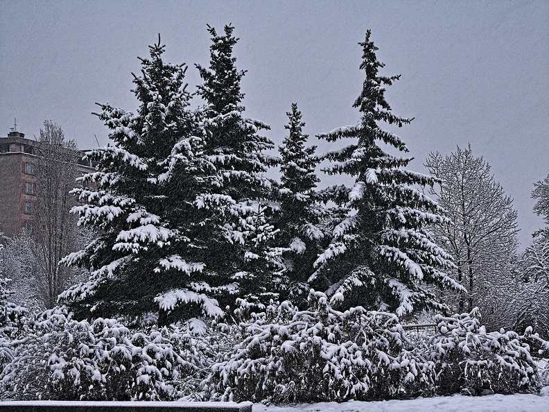 winter 2007.03_rt.jpg