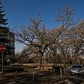slaweykow oaks 2022.01 rt