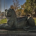 lion 2022.03_rt.jpg