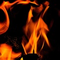 flames.2009.048_rt.jpg