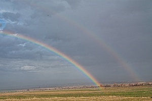 double.rainbow.2009.01 rt