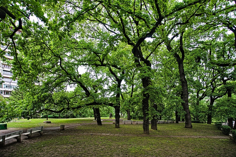 slaweykow oaks 2023.01_rt.jpg