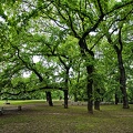 slaweykow oaks 2023.01 rt