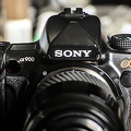 sony a900 2024.02 dt