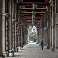 colonnade.2024.02 dt