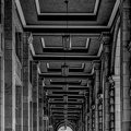 colonnade.2018.03 dt bw