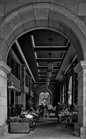colonnade.2023.03 dt bw (3)