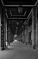 colonnade.2023.04 dt bw (2)