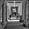 colonnade.2024.04 dt bw