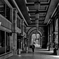 colonnade.2024.09 dt bw (1)