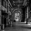 colonnade.2024.11 dt bw