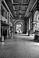 colonnade.2024.14 dt bw