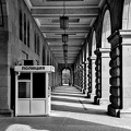 colonnade.2024.15 dt bw