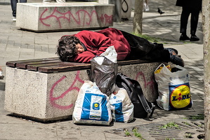 homeless.2024.01 dt