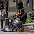 street musician 2024.03_dt.jpg