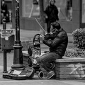 street musician 2024.03_dt_bw.jpg