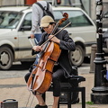 street musician 2024.05 dt