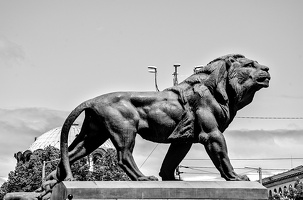 courthouse.lion.2024.01 dt bw