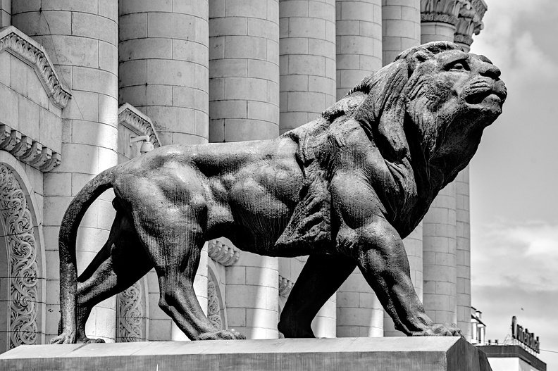 courthouse.lion.2024.02_dt_bw.jpg