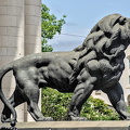 courthouse.lion.2024.03 dt