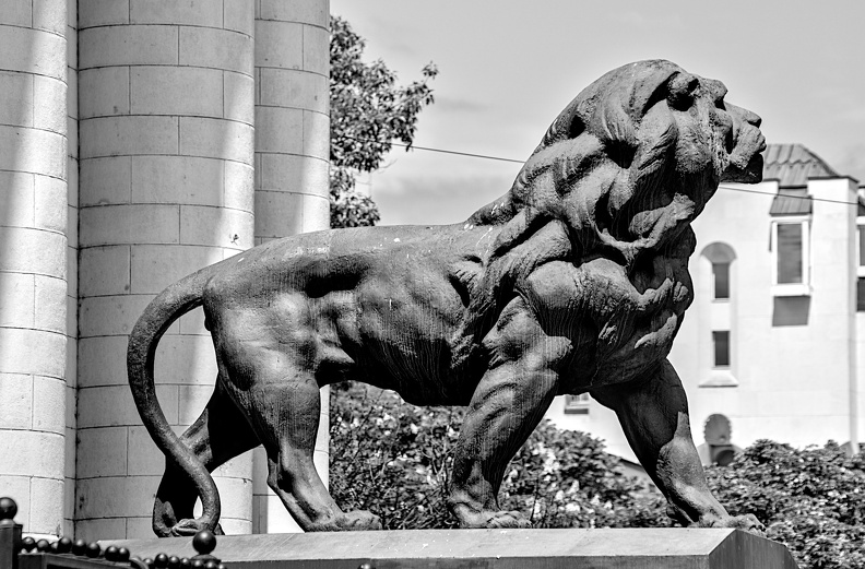 courthouse.lion.2024.03_dt_bw.jpg
