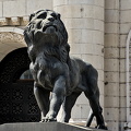 courthouse.lion.2024.04 dt