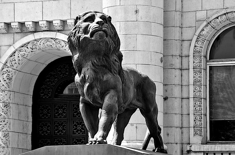 courthouse.lion.2024.04_dt_bw.jpg