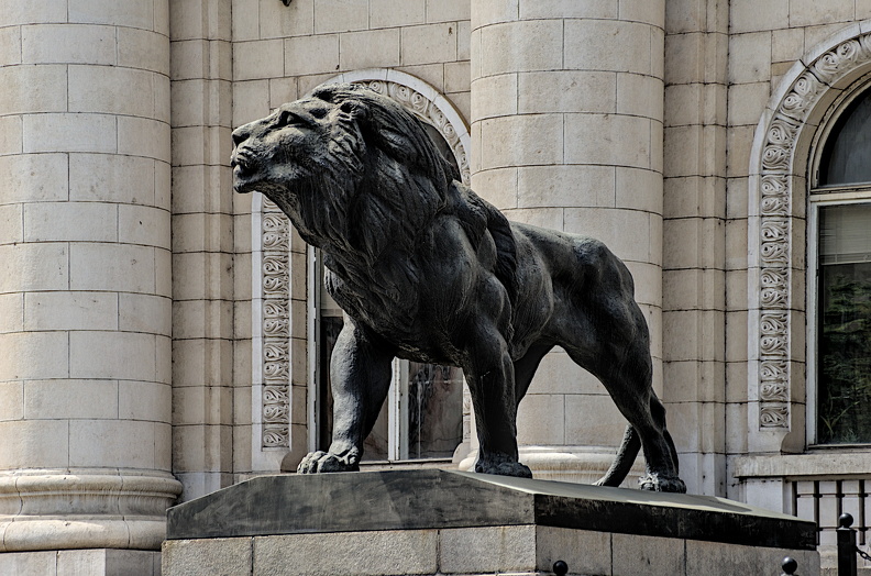 courthouse.lion.2024.05_dt.jpg