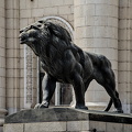 courthouse.lion.2024.05 dt