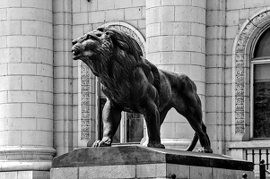 courthouse.lion.2024.05 dt bw