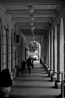 colonnade.2024.19 dt bw
